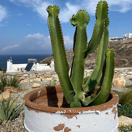 빌라 Petrinaki Mykonos Town